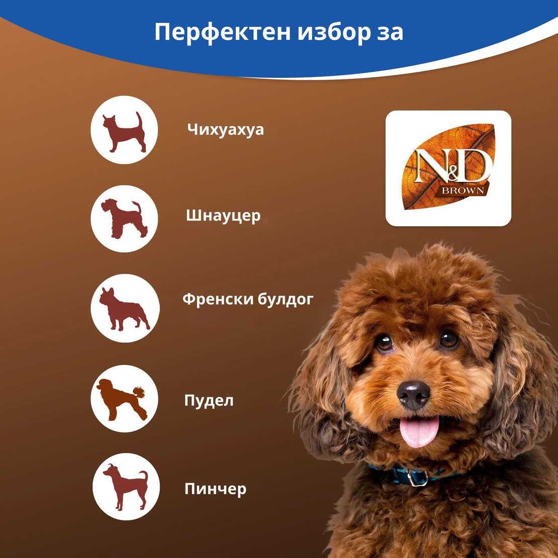 N&D Brown Dog Lamb Puppy Mini – Храна за подрастващи кученца от дребни породи с кафява козина, агнешко, спирулина и морков 1.5кг