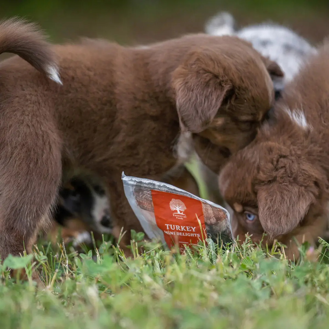 ESSENTIAL TURKEY MINI DELIGHTS - деликатесни малки лакомства за кучета с пуешко месо, 100г