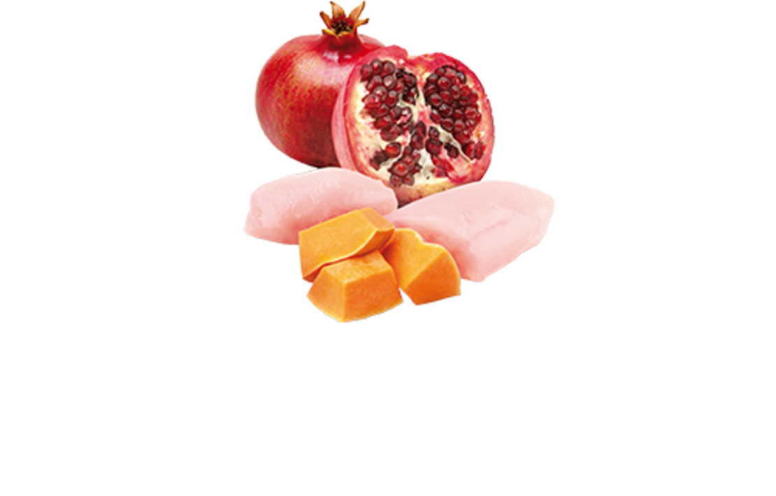 N&D Pumpkin Chicken & Pomegranate Starter Puppy – стартер храна за кученца с пиле и нар, 0.800 kg / 2.5 kg