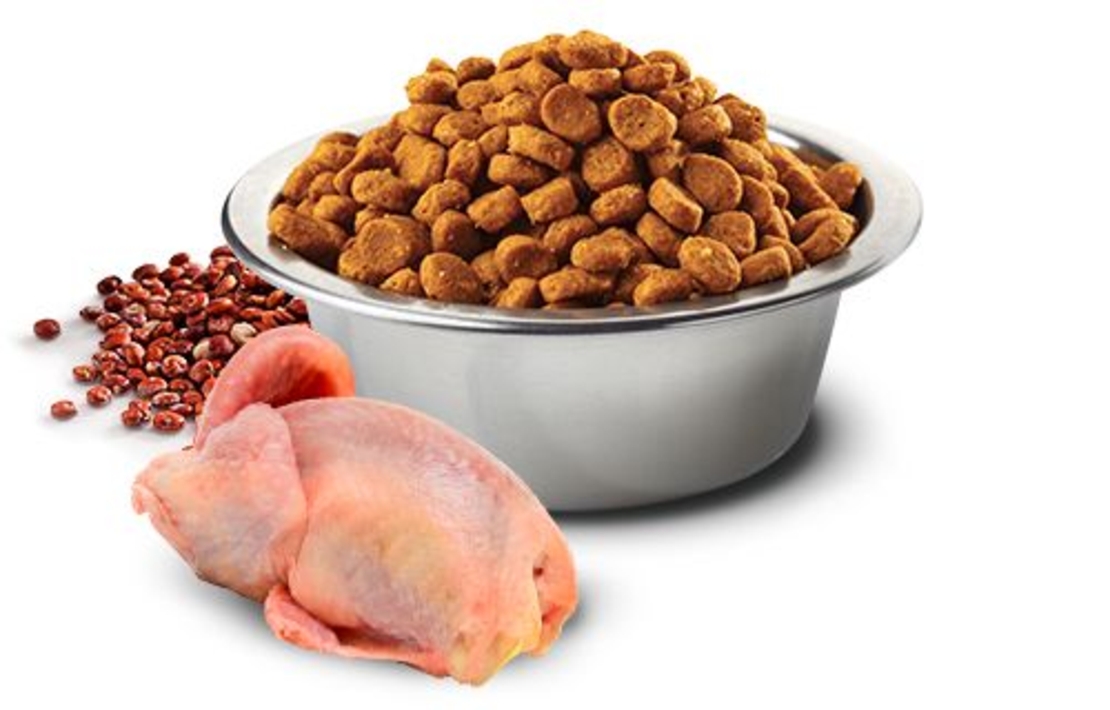 N&D Quinoa Skin & Coat Quail Adult Mini – храна за кучета за кожа и козина, с вкус пъдпъдък, за дребни породи, 0.800 kg / 7 kg