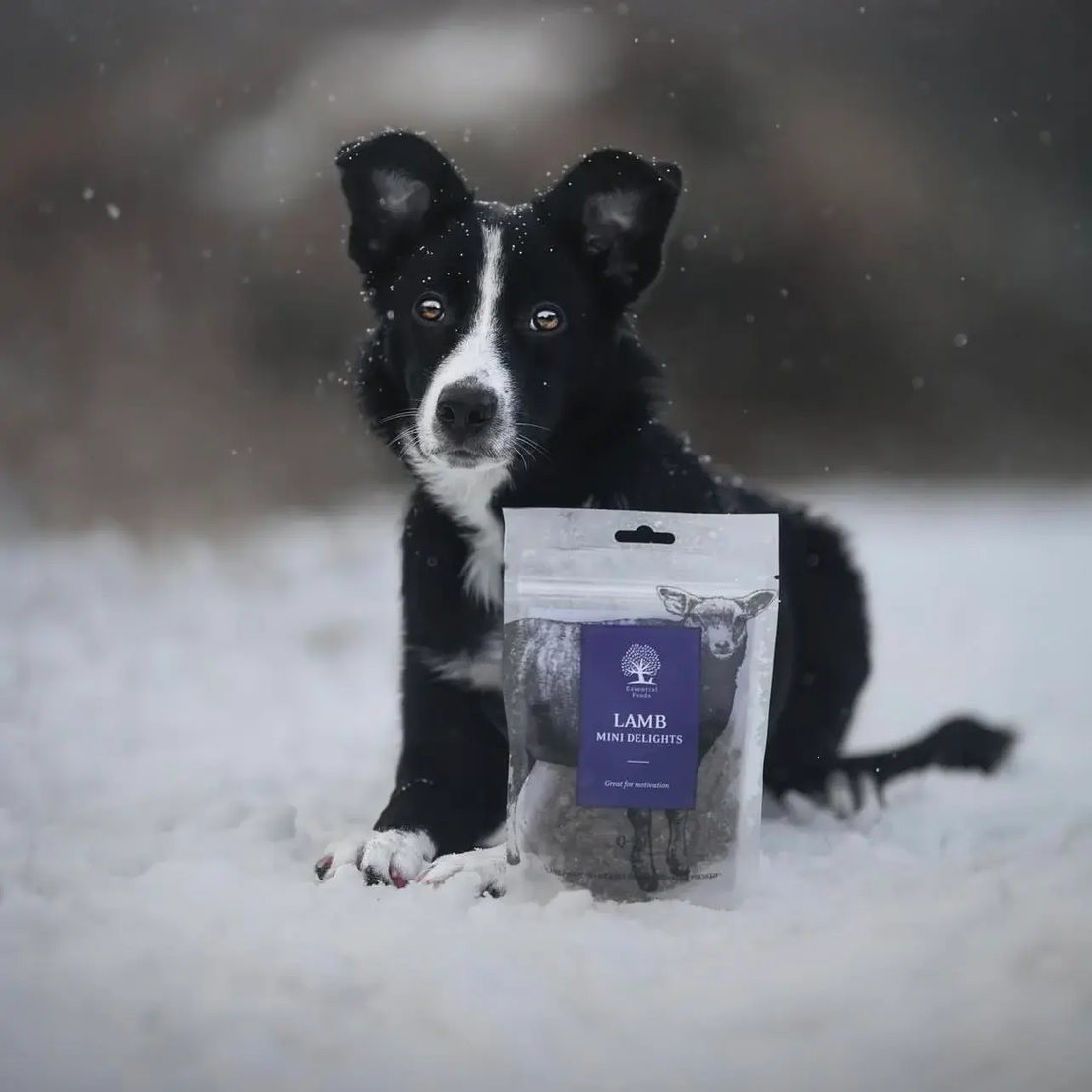 ESSENTIAL LAMB MINI DELIGHTS - деликатесни малки лакомства за кучета с агнешко месо, 100г