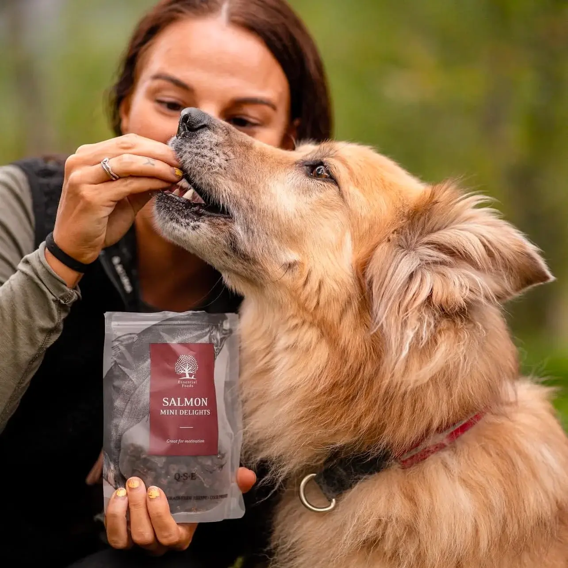 ESSENTIAL SALMON MINI DELIGHTS - деликатесни малки лакомства за кучета със сьомга, 100г