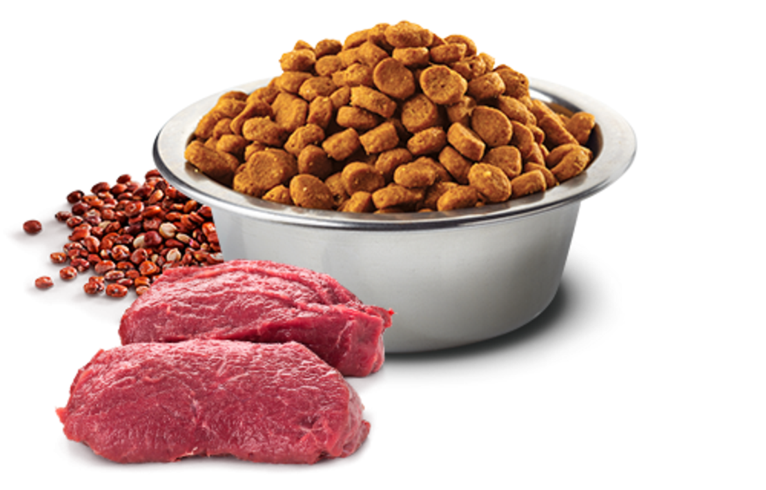 N&D Quinoa Skin & Coat Venison Adult Medium & Maxi – храна за кучета за кожа и козина, с вкус еленско, за средни и големи породи, 2.5 kg / 7 kg