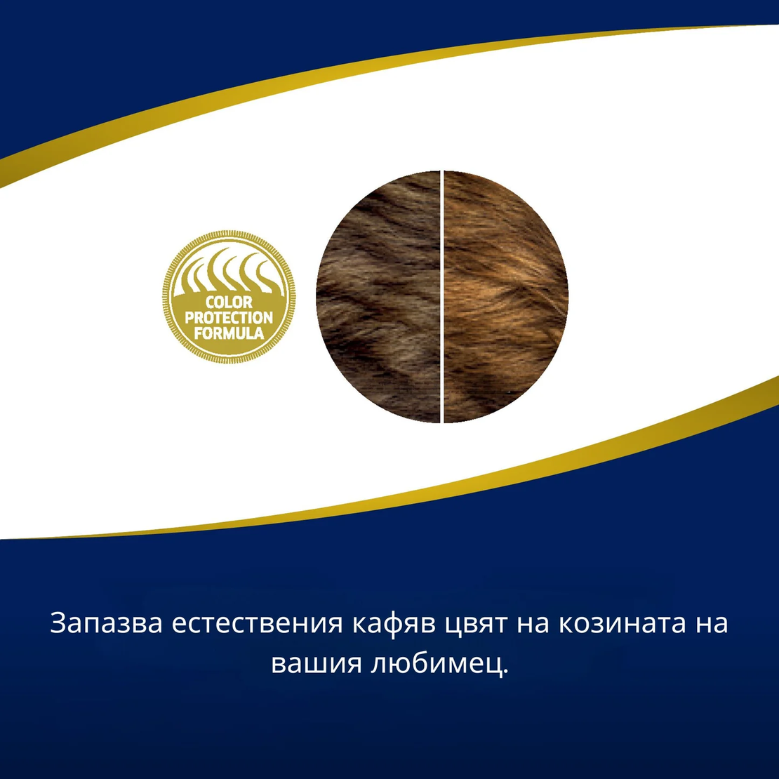 N&D Brown Dog Lamb Adult  Mini – Храна за кучета с кафява козина от мини породи ,с агнешко, спирулина и морков 2кг и 5кг
