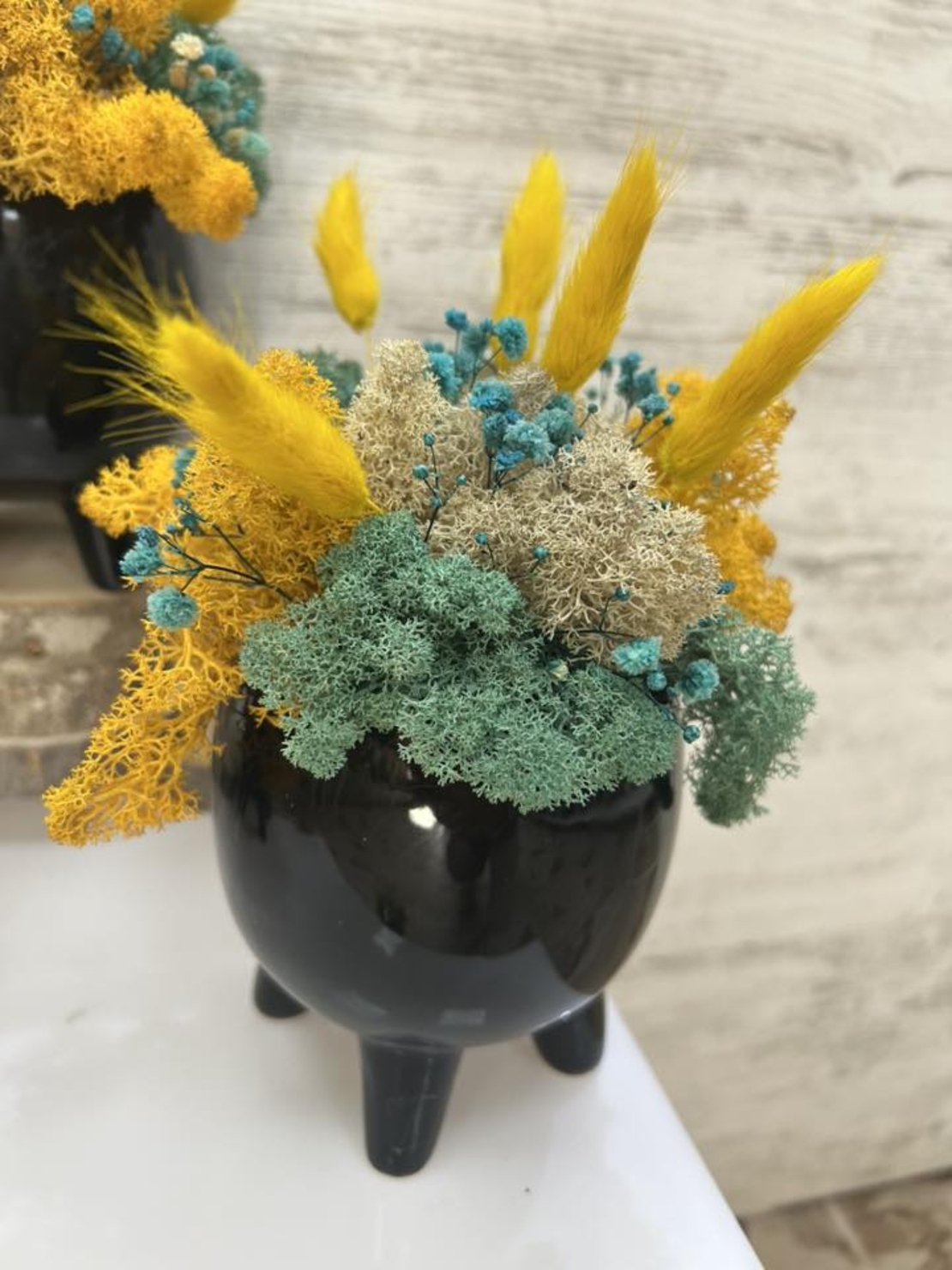 ЧЕРНА КАШПА с мъх