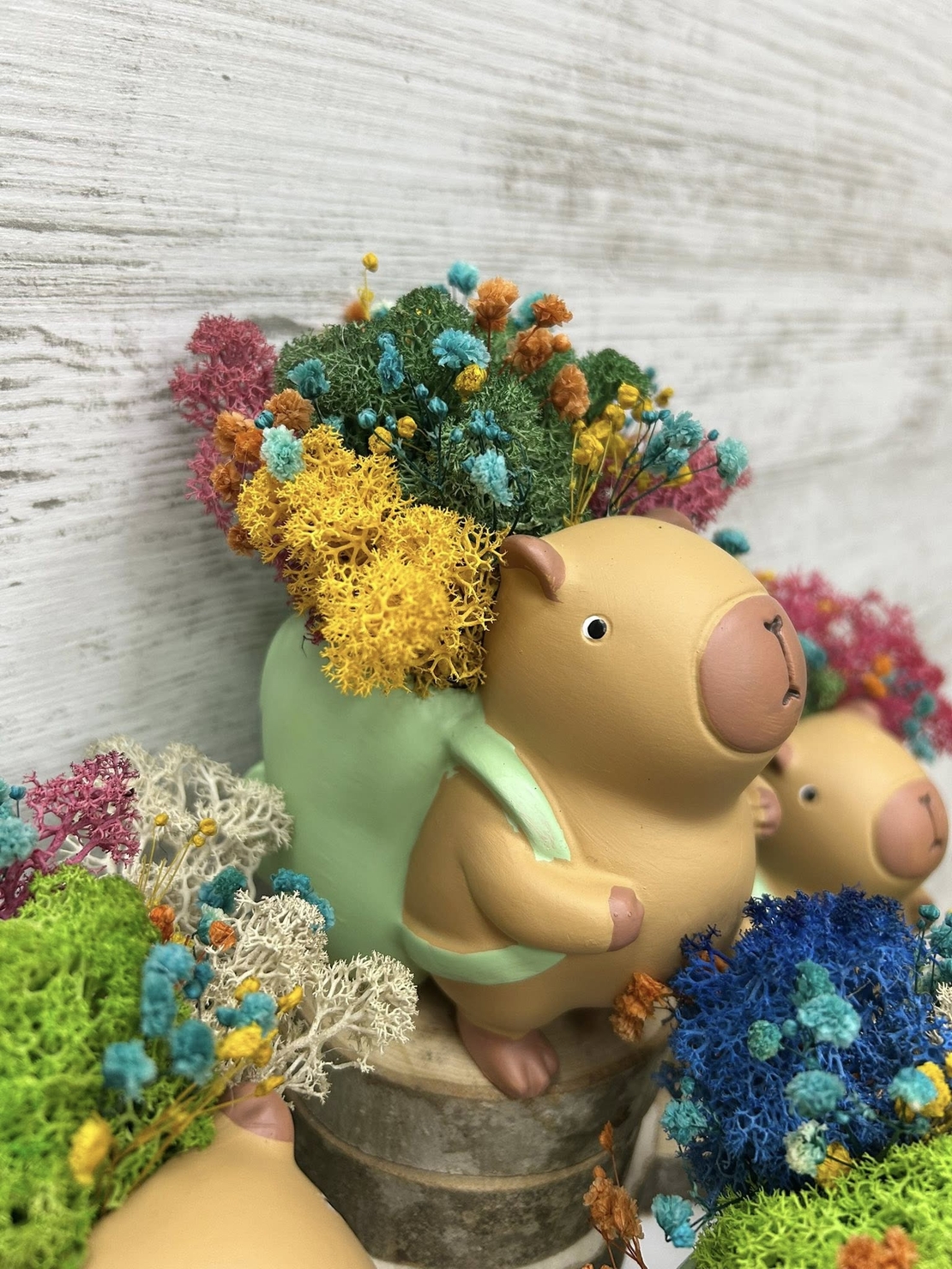 Кашпа КАПИБАР