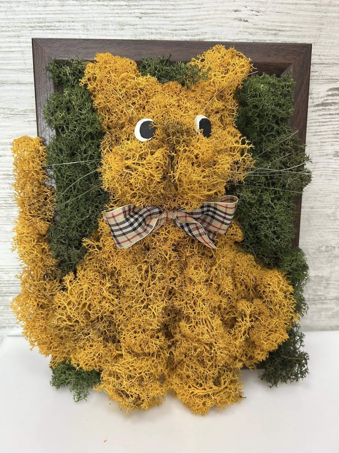 Котенце Рижко