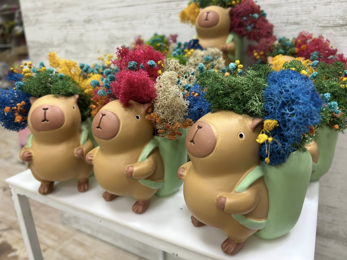 Кашпа КАПИБАР