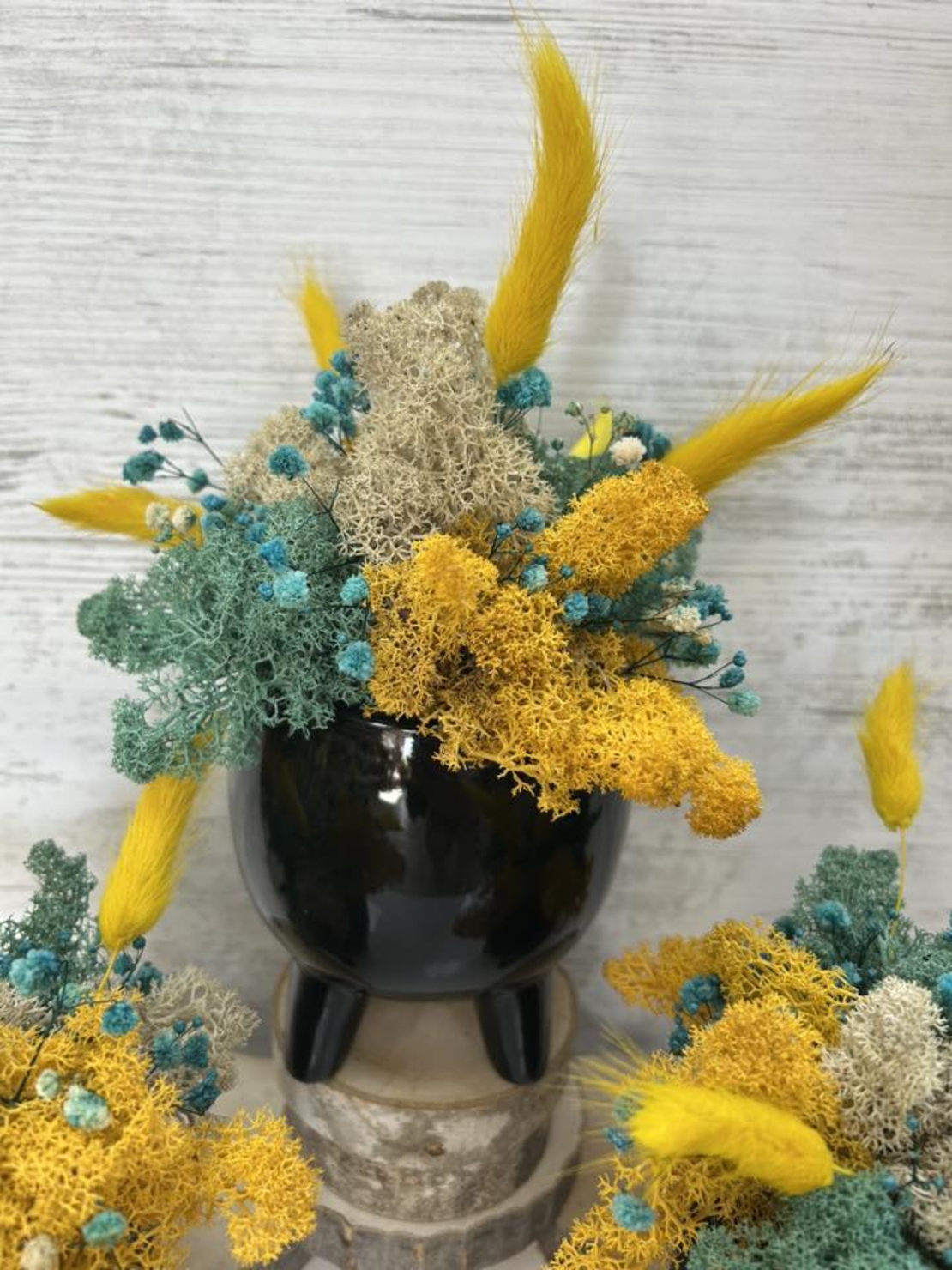 ЧЕРНА КАШПА с мъх