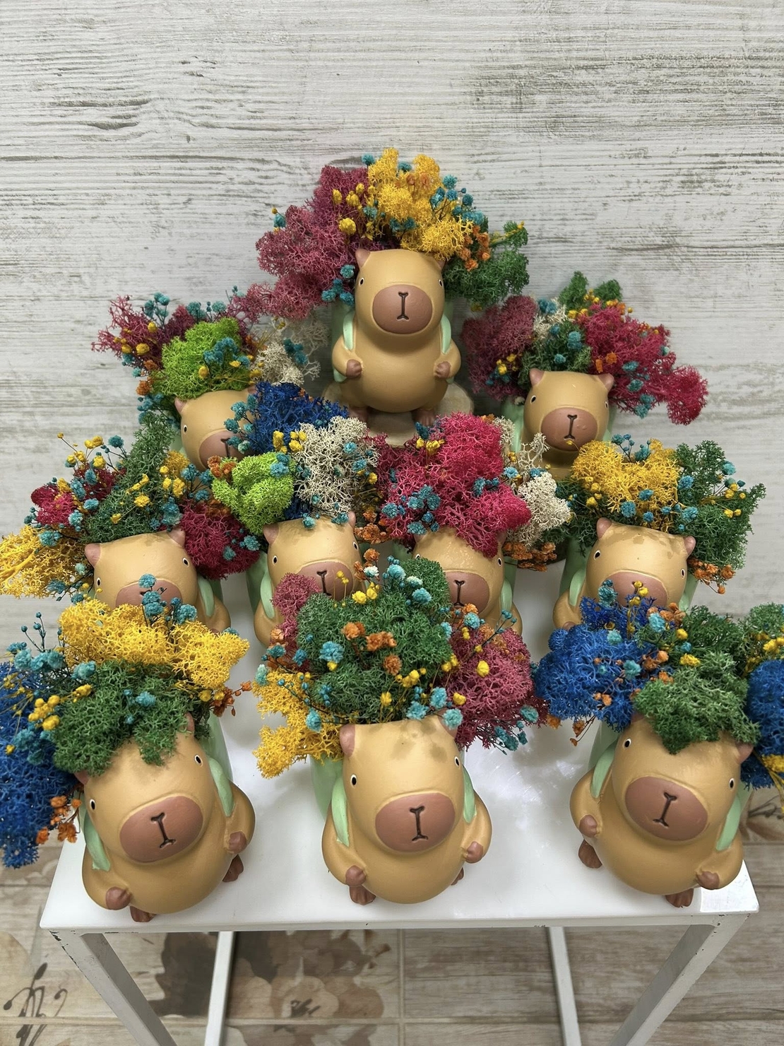 Кашпа КАПИБАР