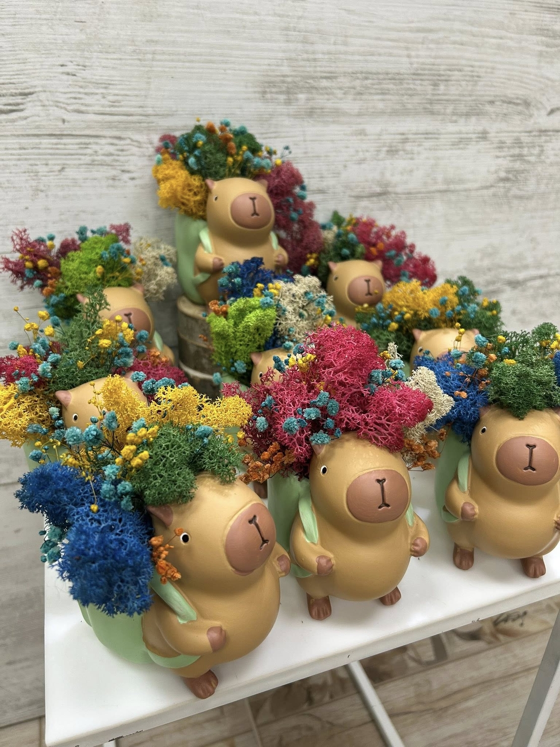 Кашпа КАПИБАР