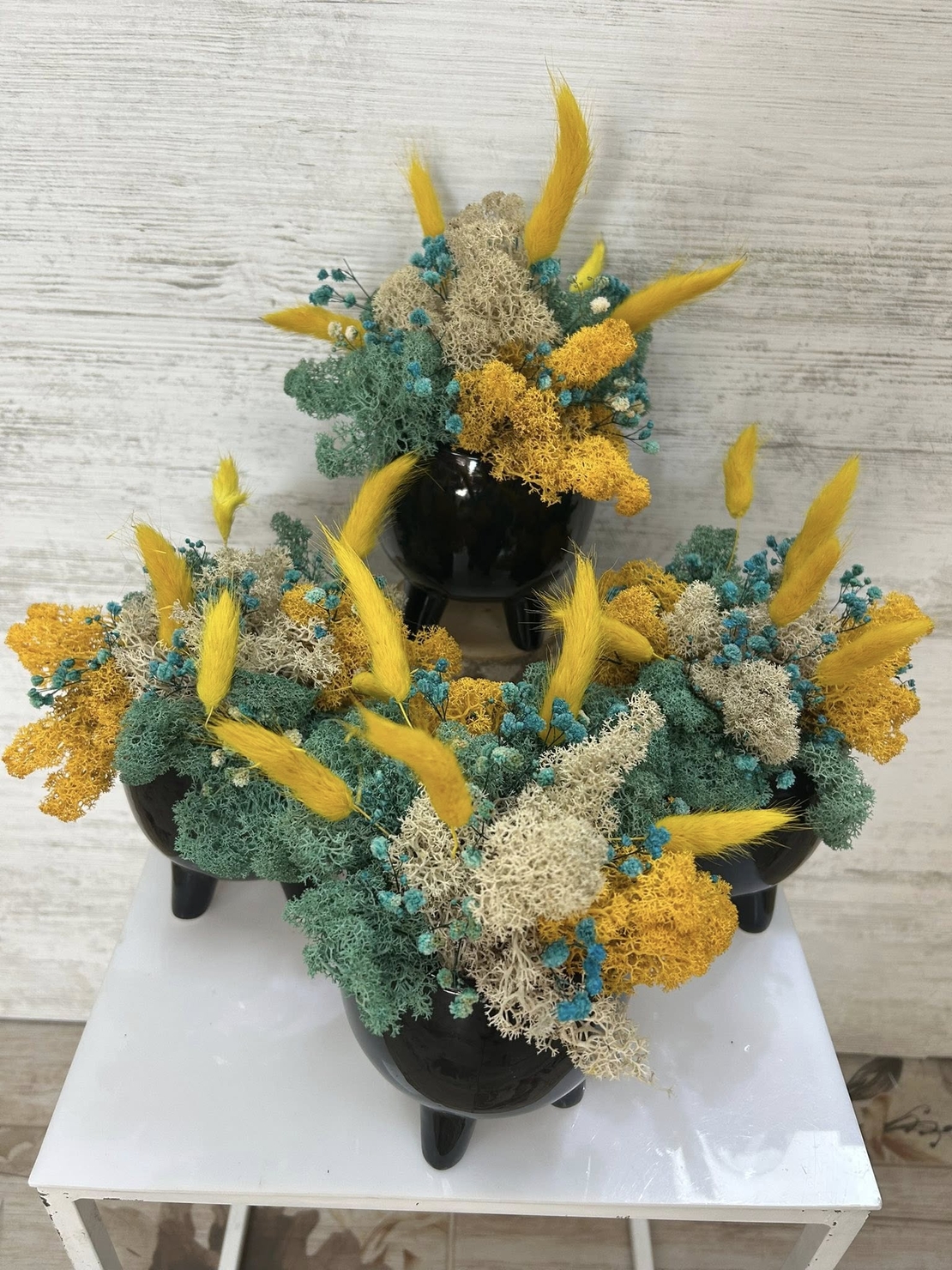 ЧЕРНА КАШПА с мъх