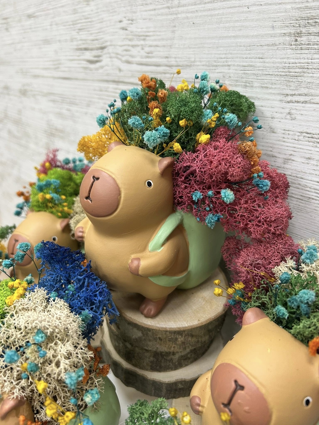 Кашпа КАПИБАР