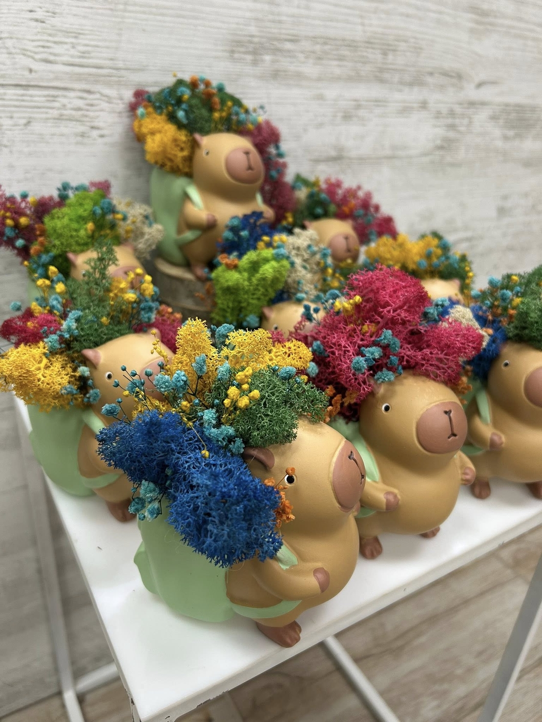 Кашпа КАПИБАР