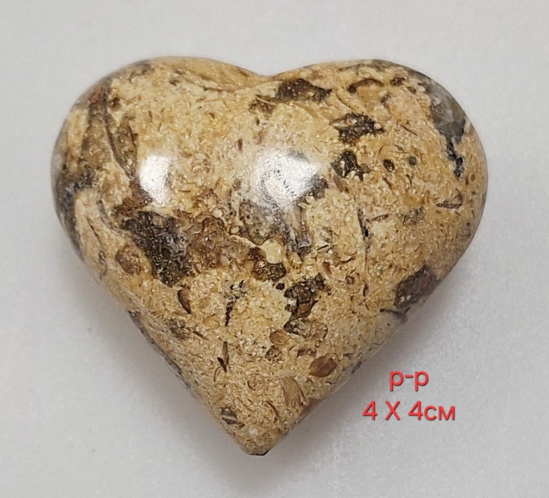 Фосил - Сърце