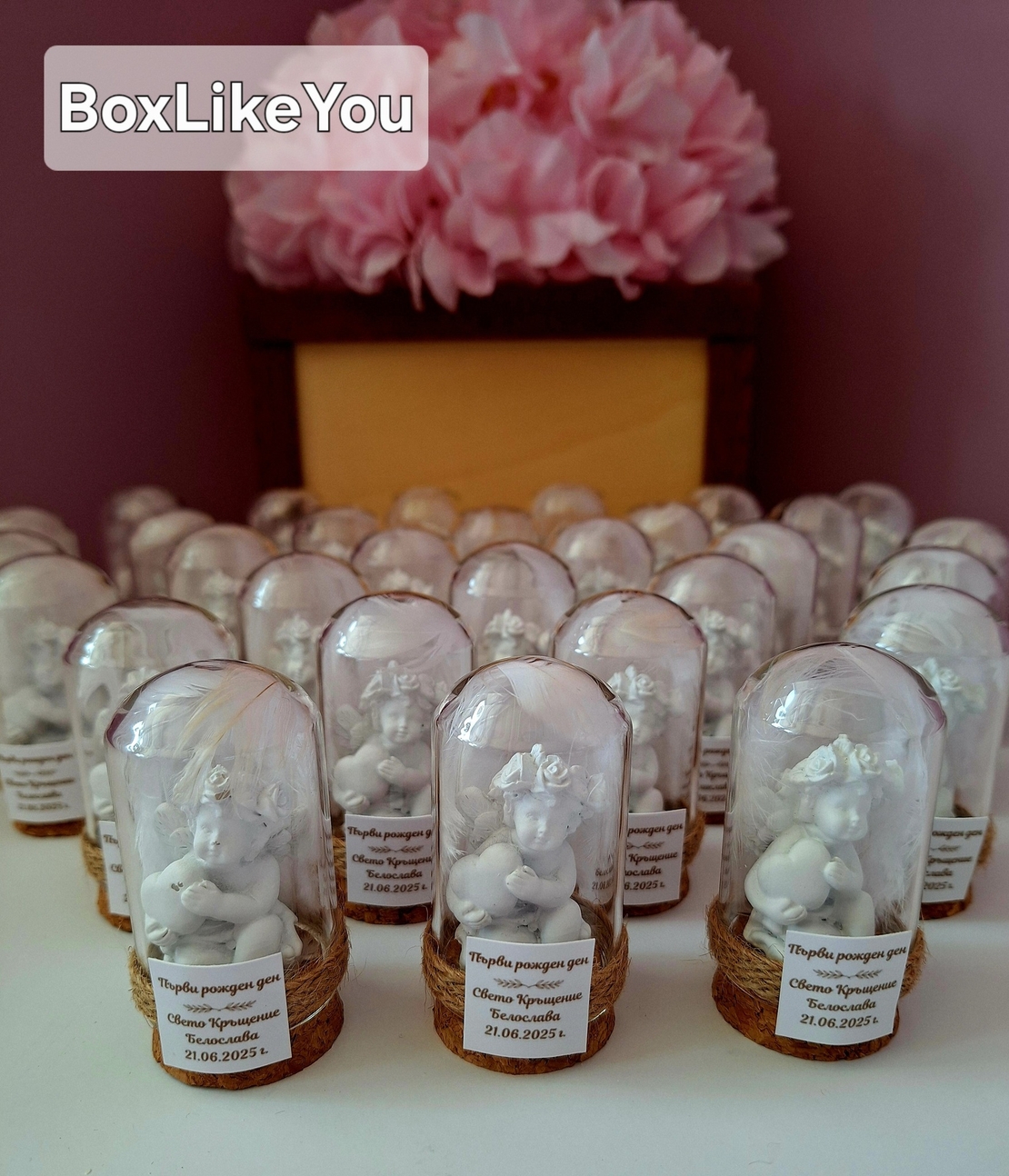 Ангелска закрила