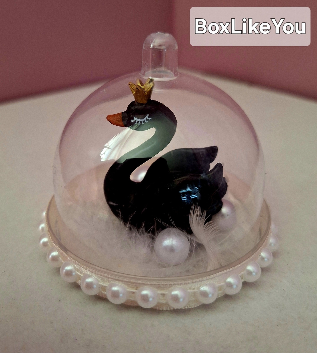 Черният лебед – символ на изяществото и силата