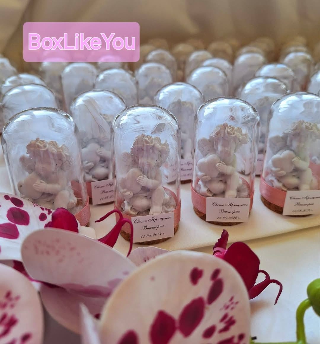 Ангелска закрила