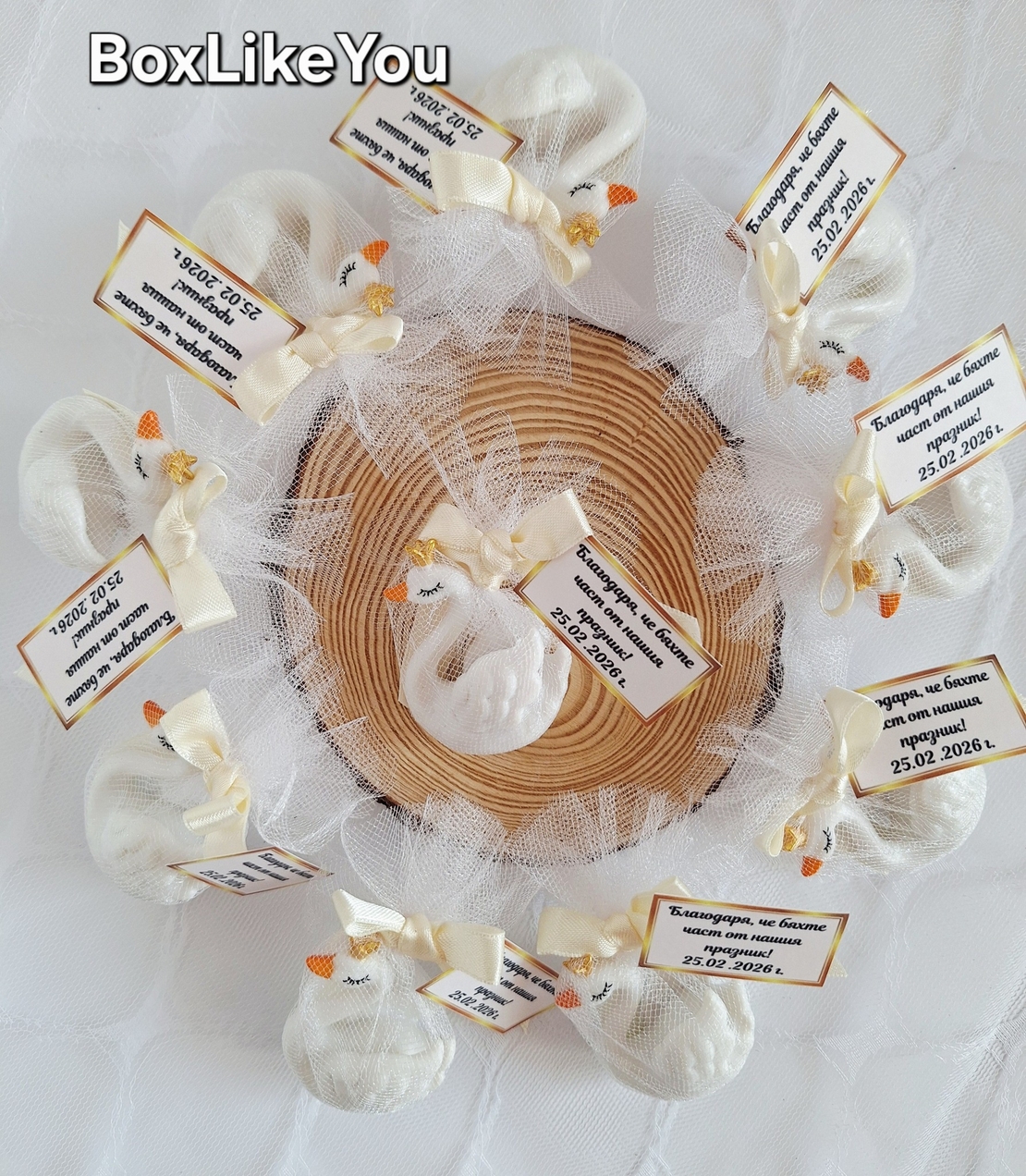 Елегантен лебед