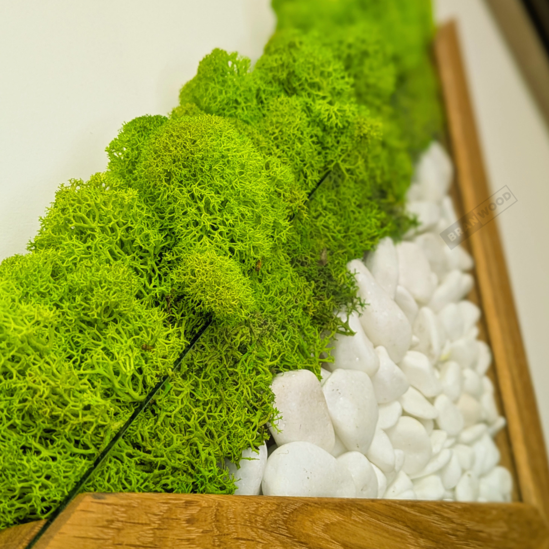 Стенно пано със скандинавски мъх