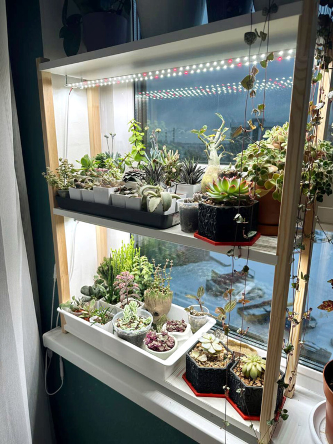 Универсална лед лампа за otglegdane-na-растения 25W