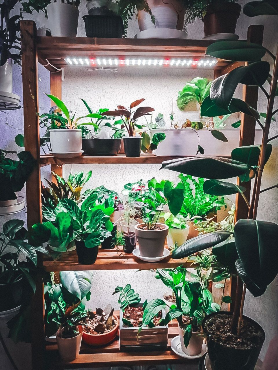 Универсална лед лампа за otglegdane-na-растения 25W