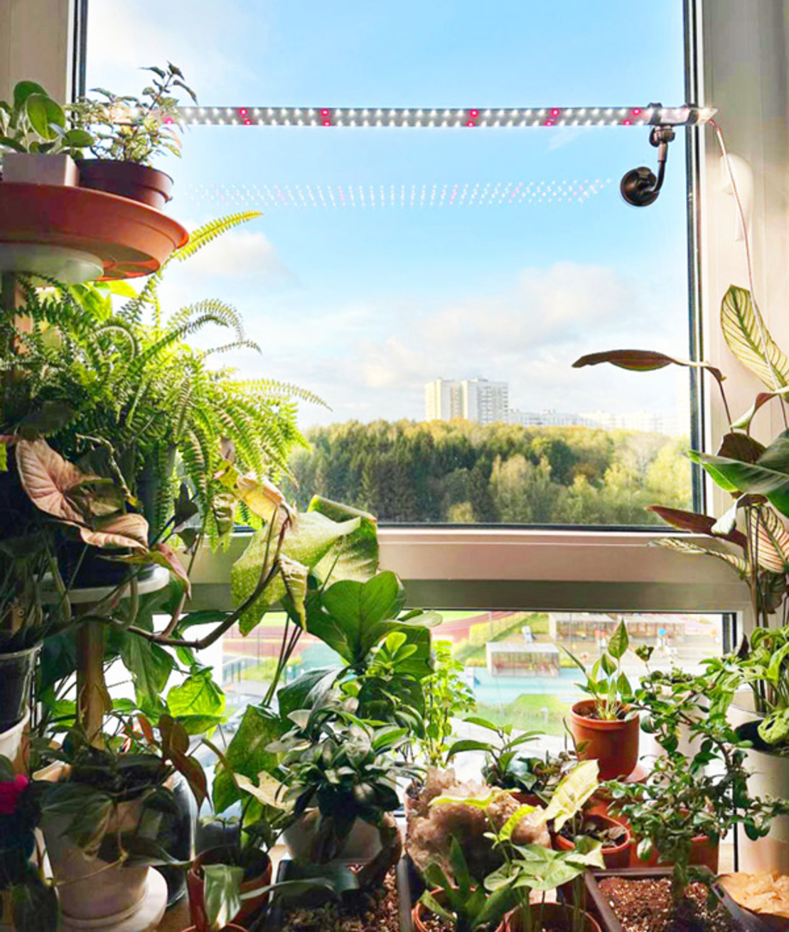 Универсална лед лампа за otglegdane-na-растения 25W