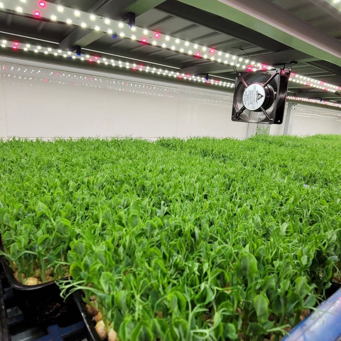 Универсална лед лампа за otglegdane-na-растения 25W