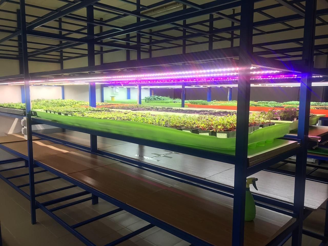 Универсална лед лампа за otglegdane-na-растения 25W