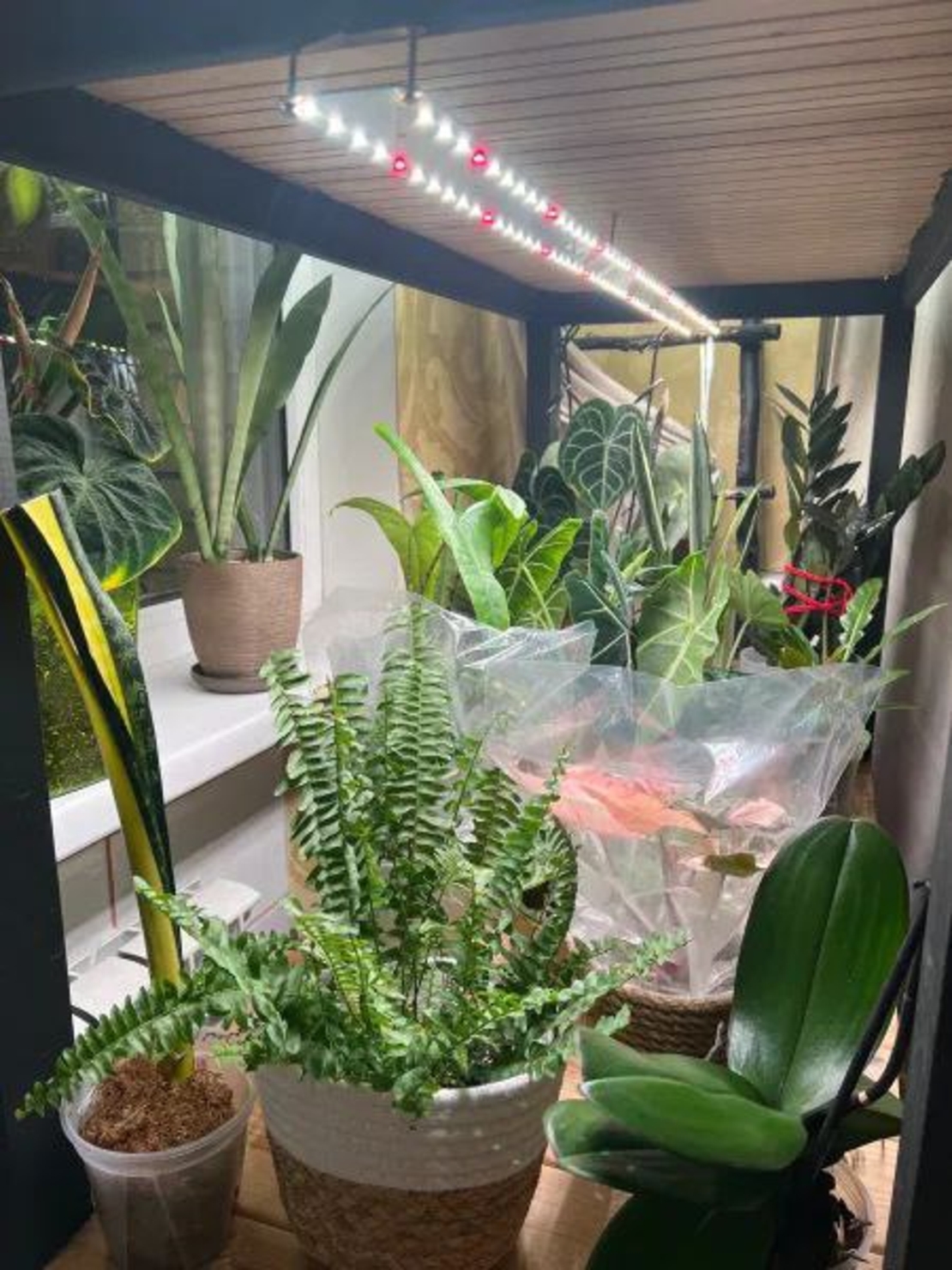 Универсална лед лампа за otglegdane-na-растения 25W