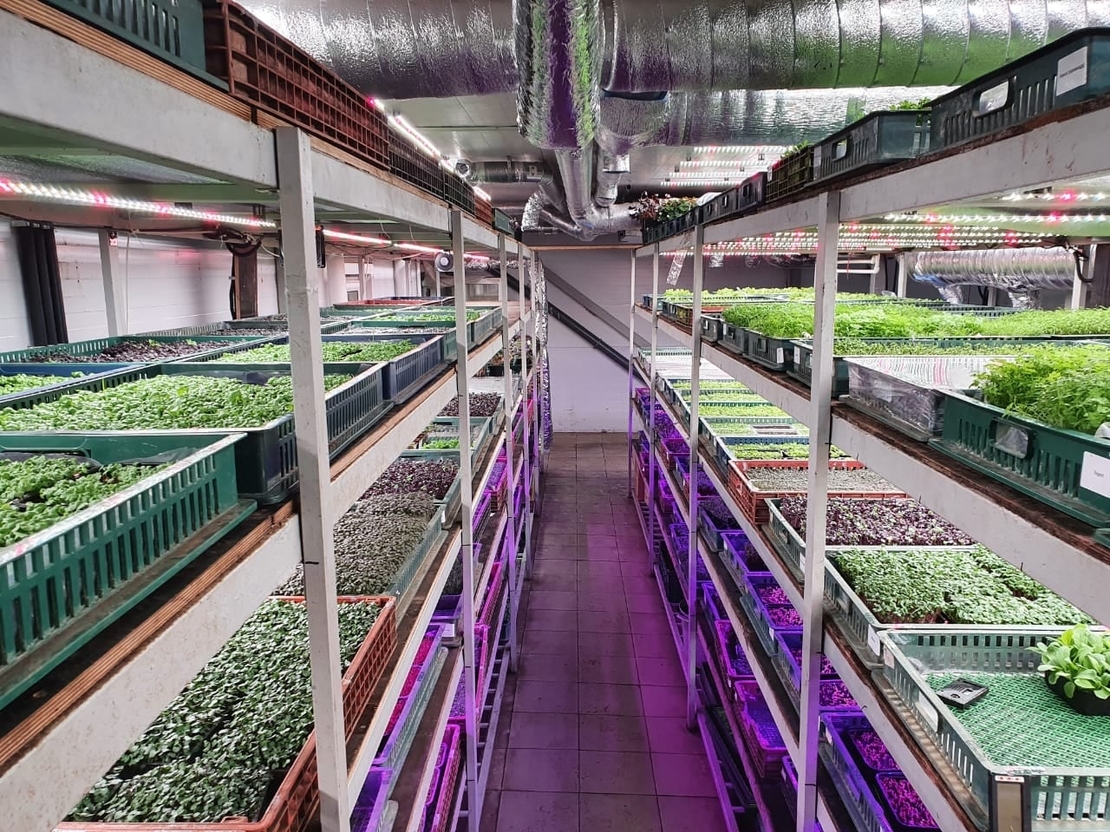 Универсална лед лампа за otglegdane-na-растения 25W