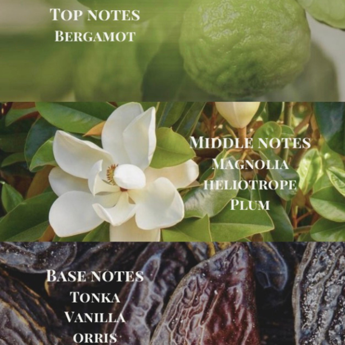 NO. 2 Zephyr | Reed Diffuser