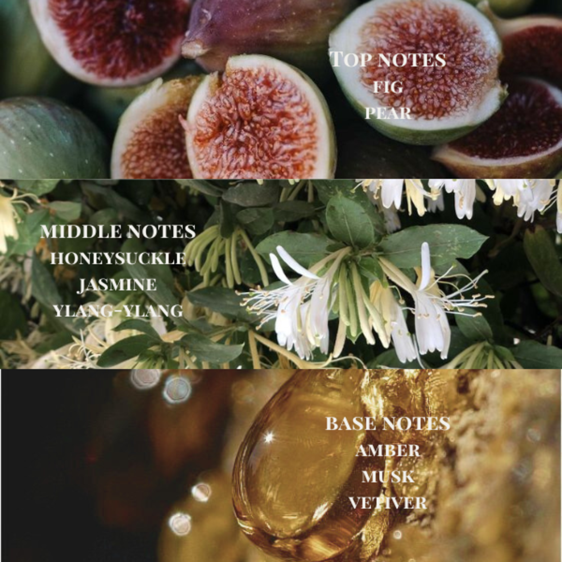 NO. 3 Gaia | Reed Diffuser