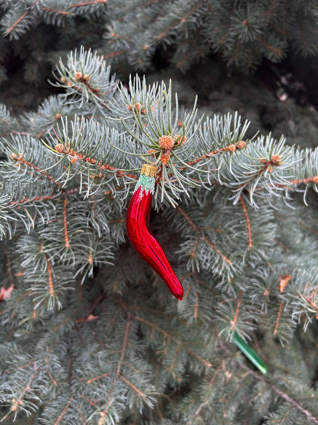 Стъклена чушка