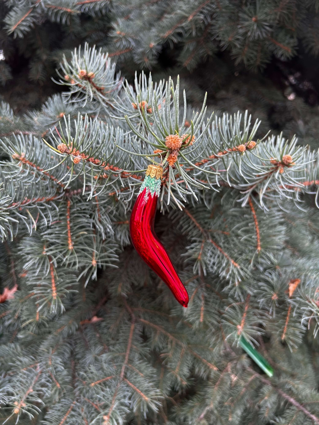 Стъклена чушка