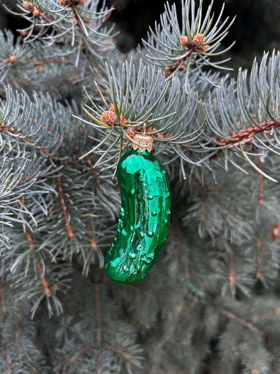 Стъклена краставичка