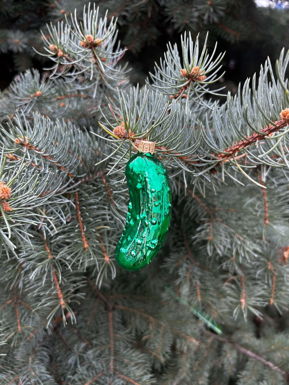 Стъклена краставичка