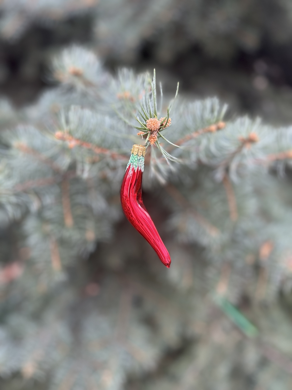 Стъклена чушка