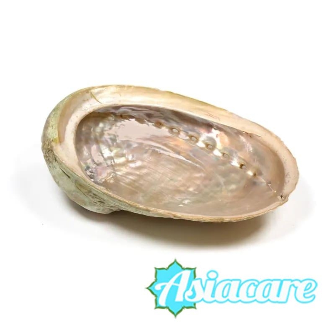 Мида Абалон за горене на салвия и пало санто