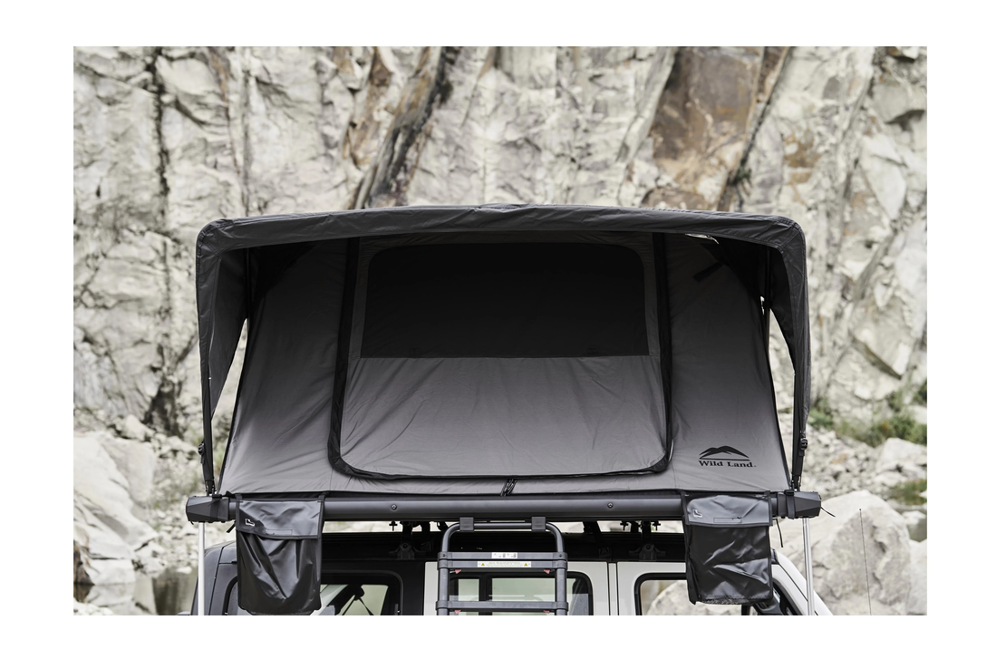 Wild Cruiser Pro 250