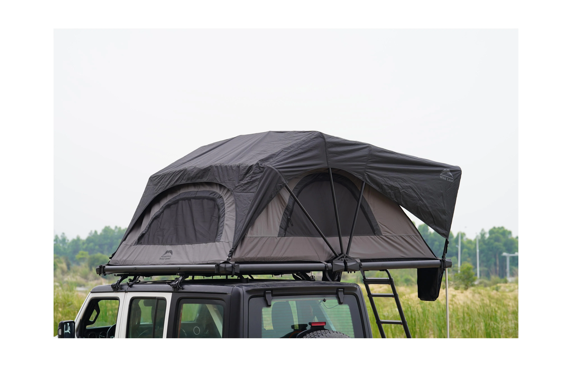 Wild Cruiser Pro 250