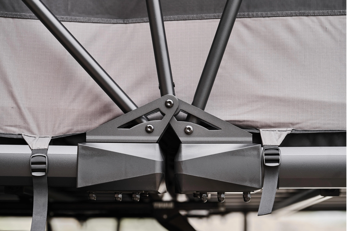 Wild Cruiser Pro 250