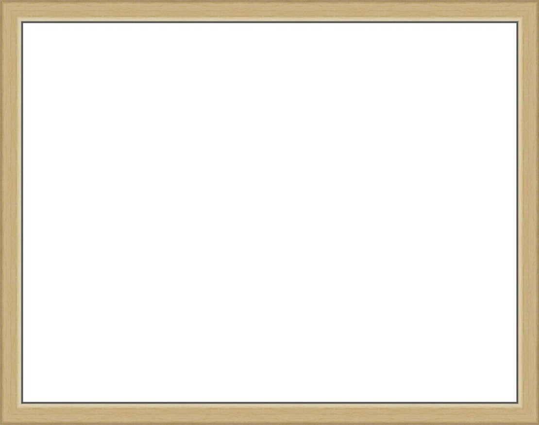 Е 1016