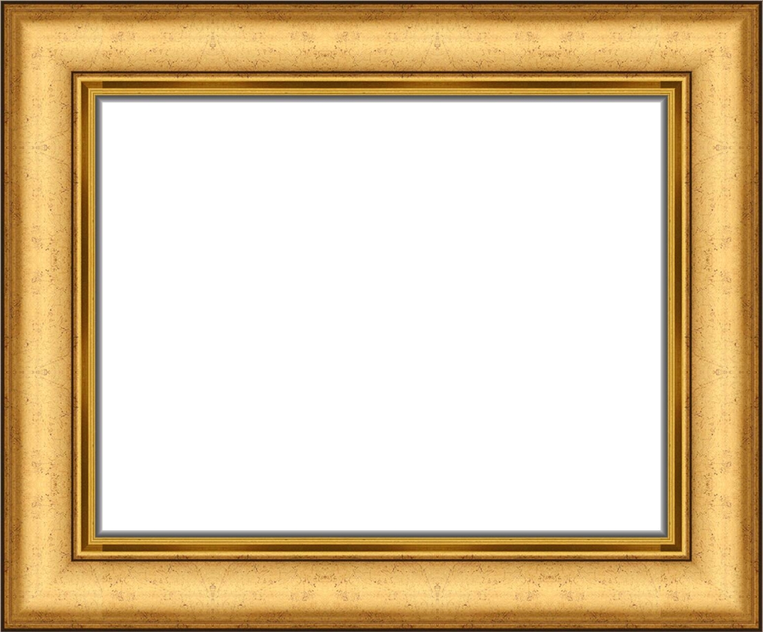 Е 5501