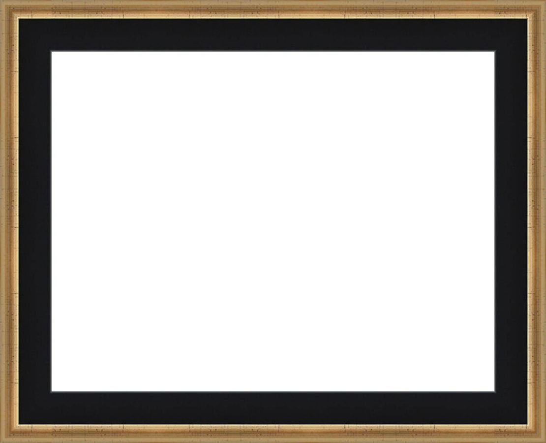 Е 3531