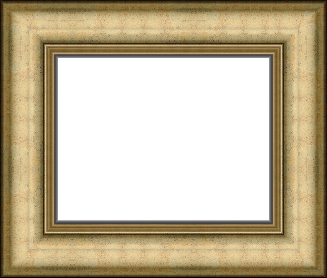 Е 8202