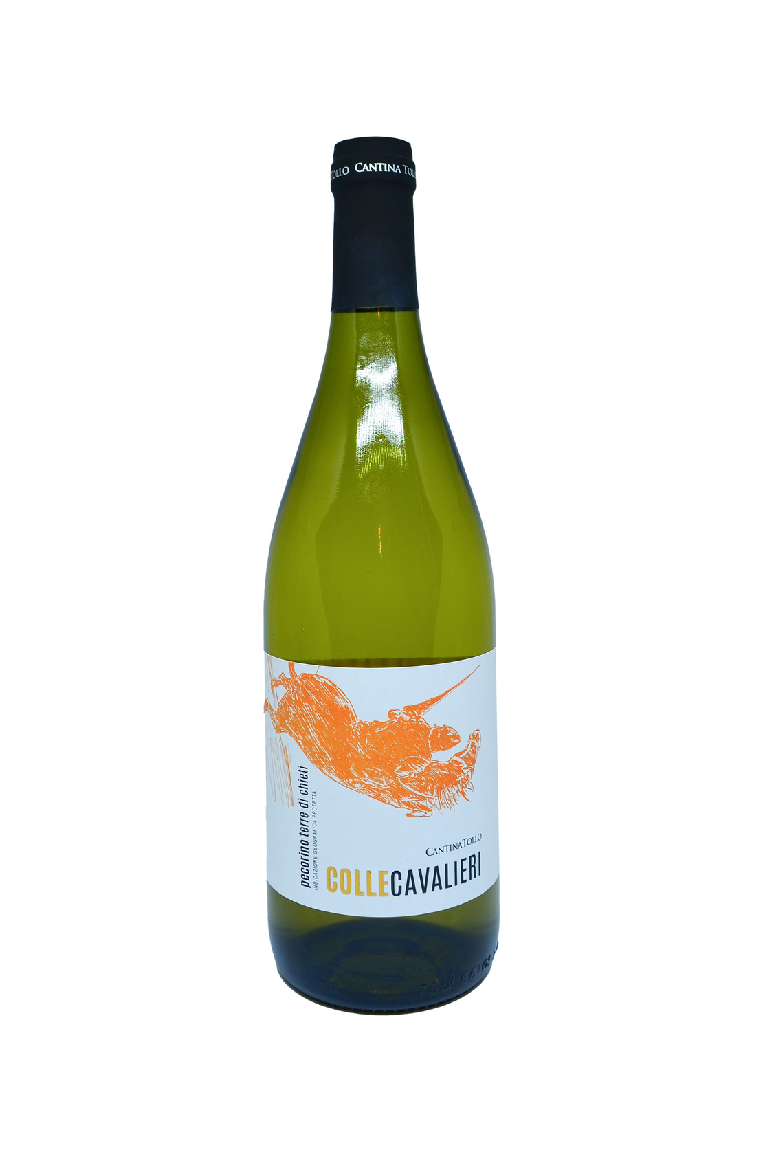 CANTINA TOLLO COLLE CAVALIERI PECORINO