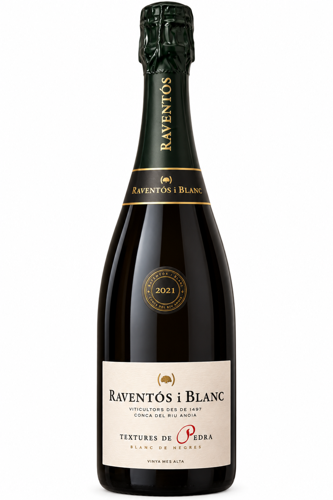 RAVENTOS I BLANC TEXTURES DE PEDRA