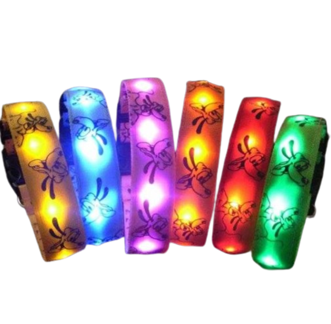 Guler pentru caine cu lumini LED - 2,5 cm - S/M/L - 550228