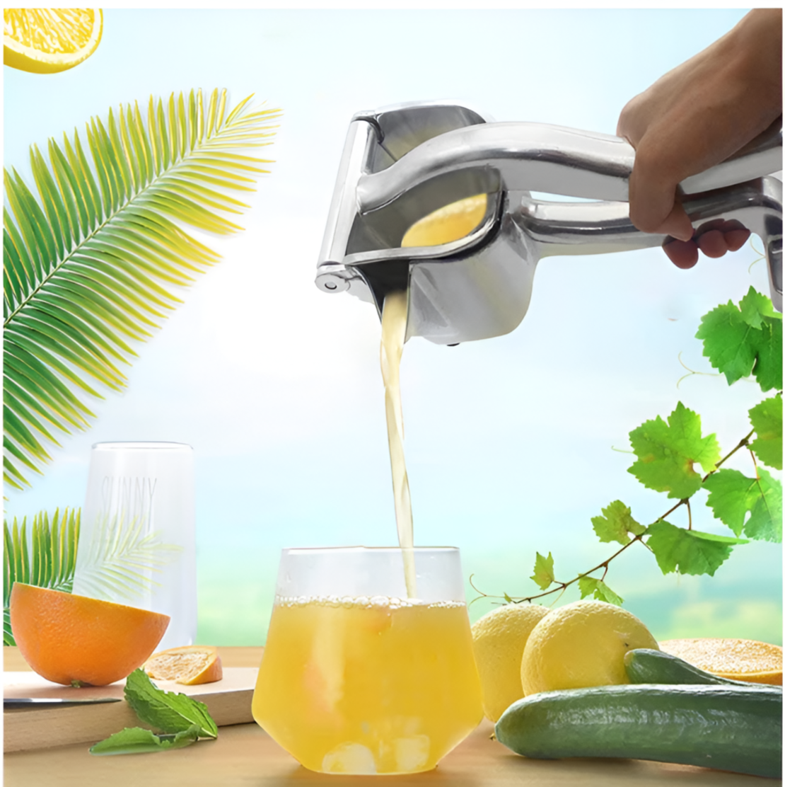 Storcator de Fructe Neo™ pentru Citrice din Otel Inoxidabil, Argintiu